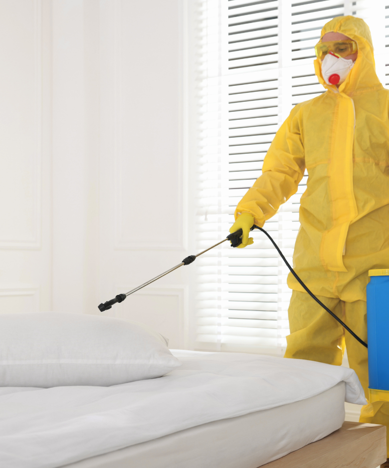 Professional Pest Control Team in Norton Summit